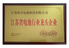 Honor4